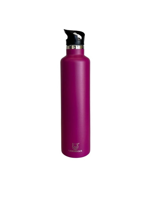Magenta Water Bottle