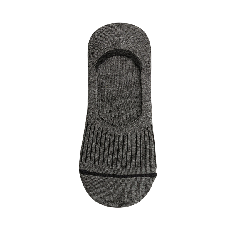 IVS001